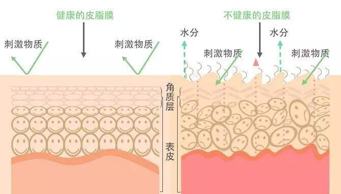 化妆品加工