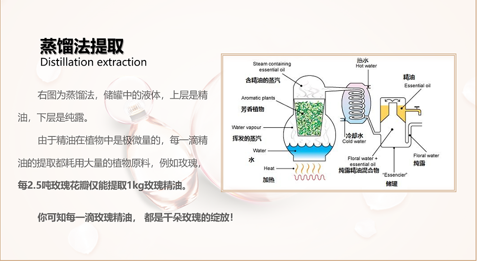 纯奢按摩精油44