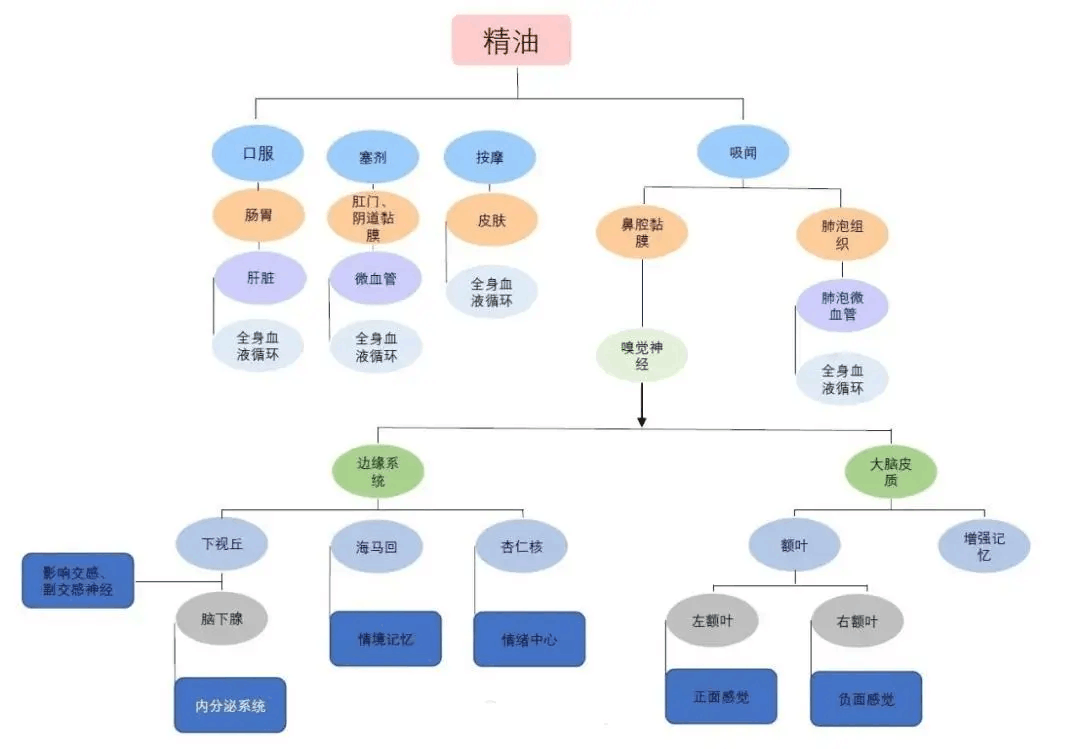 化妆品加工