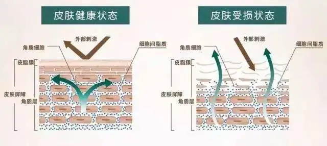 面膜代加工