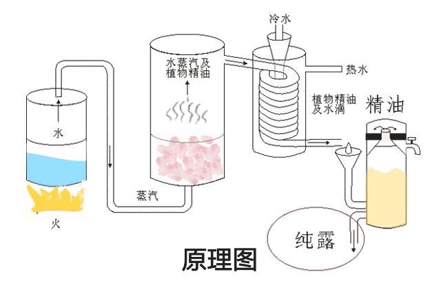 化妆品厂家